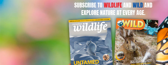 Explore nature at every age.