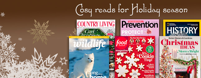 Cozy reads for the Holiday season