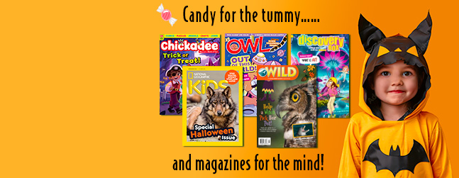 Candy for the tummy and magazines for the mind!
