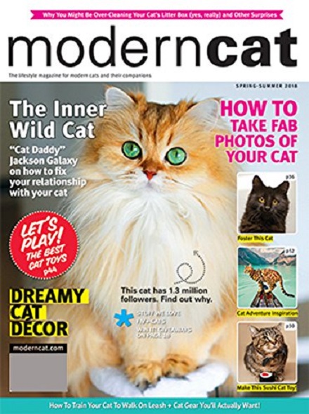 Subscription MODERN CAT