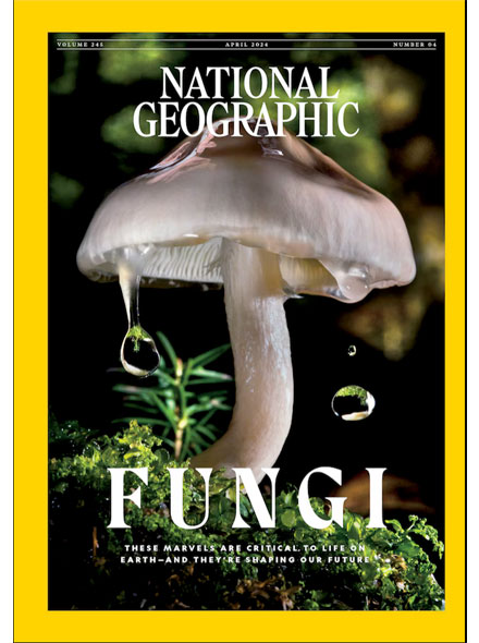 NATIONAL GEOGRAPHIC (US VERSION)