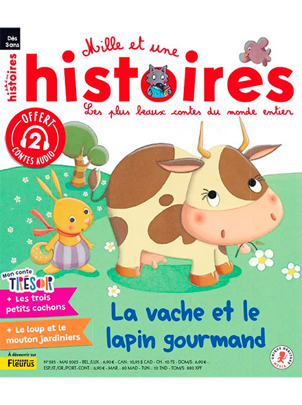 MILLE ET UNE HISTOIRES