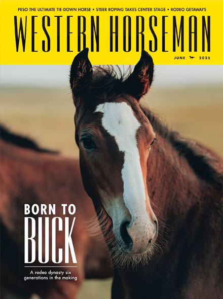WESTERN HORSEMAN