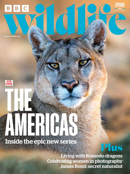 BBC Wildlife Magazine: nature, conservation and wildlife watching